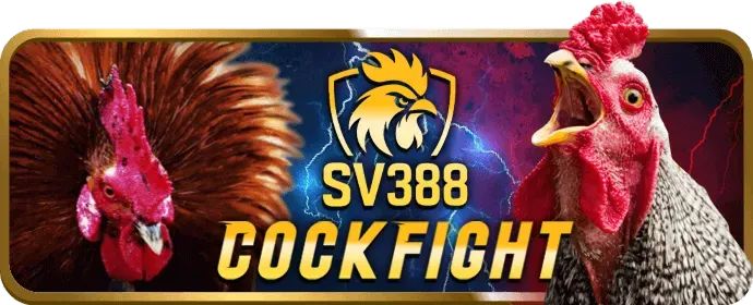 Trò chơi slot 2bong app